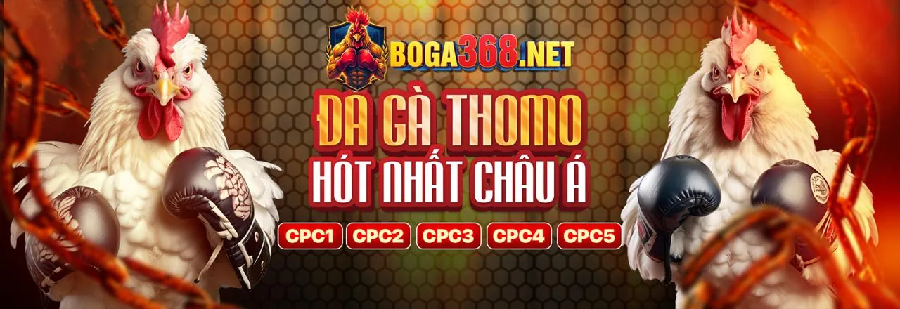 An toàn và công bằng tại USBET